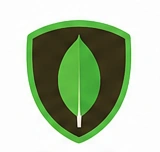 MongoDB